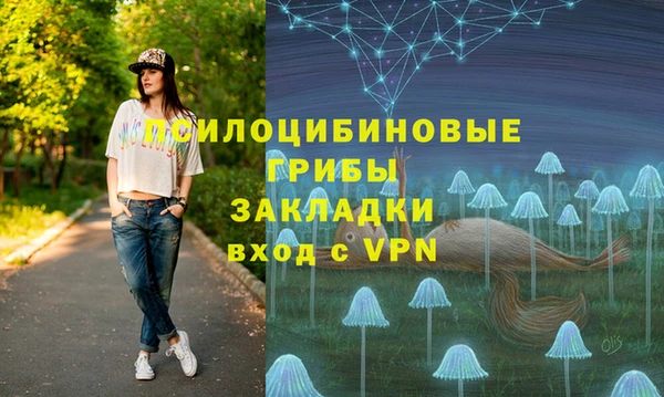 винт Алексин