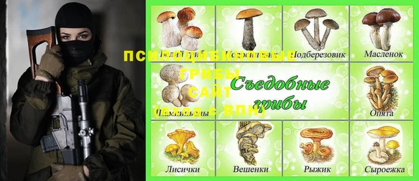 прущая мука Алзамай