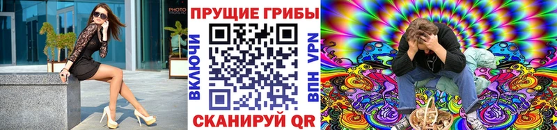 кракен рабочий сайт  где купить наркотик  Ахтырский  Галлюциногенные грибы Psilocybe 